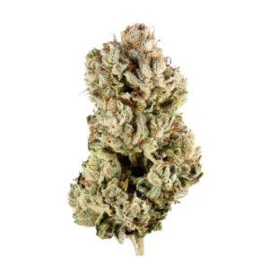 Buy Gorilla Glue #4 Marijuana Strain UK